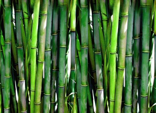 Рейтинг лучших бамбуковых подушек на 2021 год