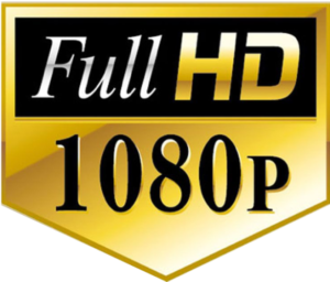Рейтинг лучших видеомагнитофонов с Full HD и 4K на 2021 год