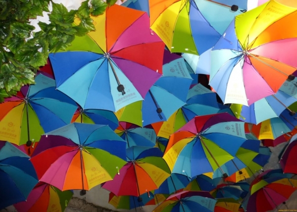 Рейтинг лучших складных зонтов на 2021 год